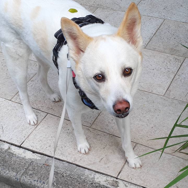 E452f071 7418 48c5 9be7 c4242279ef87 1684647180399