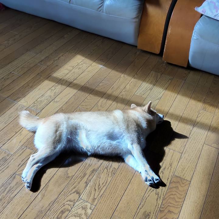 E453799e 62c8 4f53 b36d a00ef6e6ed4d 1763518661767