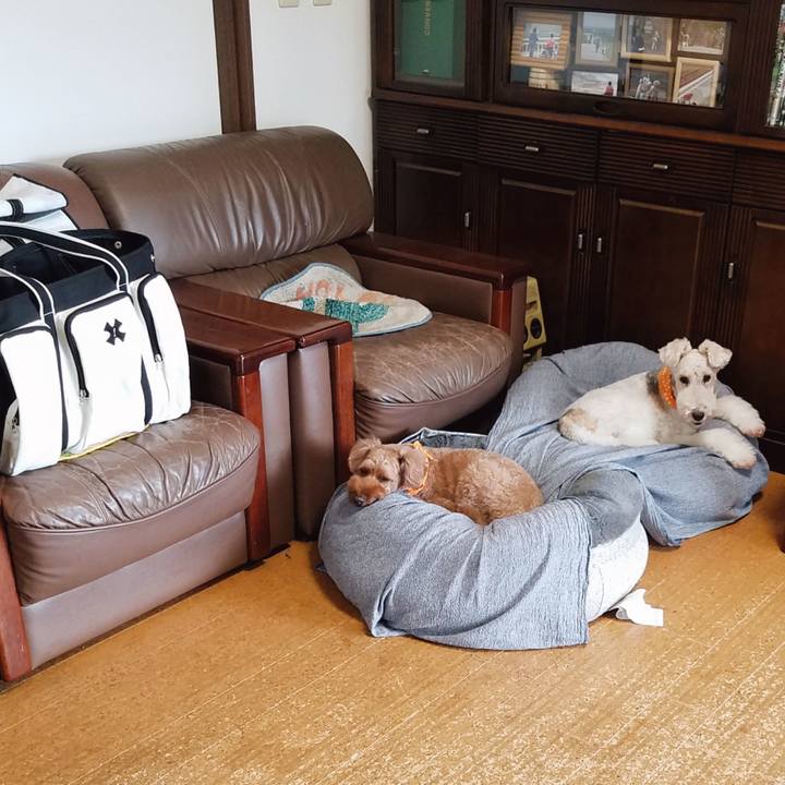 E453a09d c958 4a42 9488 830b68015477 1570970864659