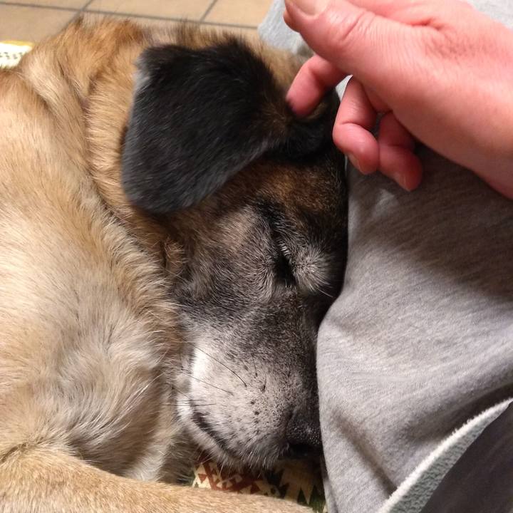 E453c6dc 3cd5 4488 adac b07a8d9a6e35 1549459561582