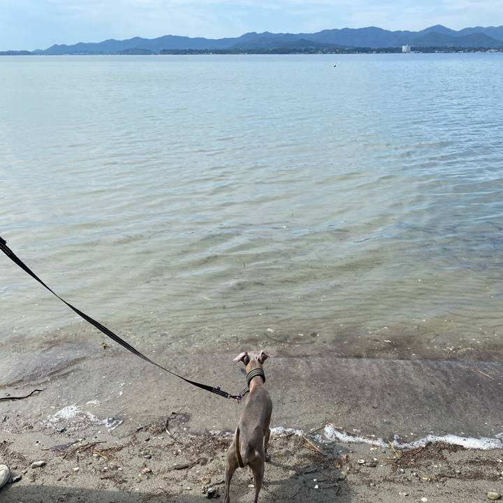 E453e3ba f6d7 4496 881b 7f2b0bd723ca 1759375371834