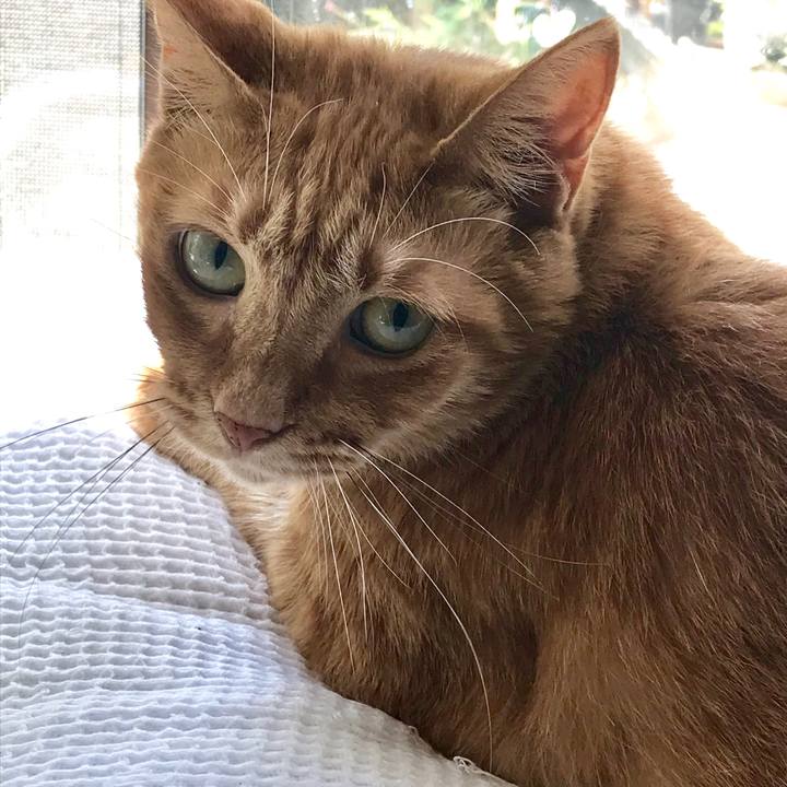 E453f03f 4734 4645 8fd2 21644f361ab2 1569977916216