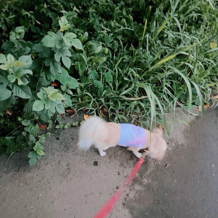 E453f289 634e 4d11 9ad5 64a8e99a4a29 1661854676724