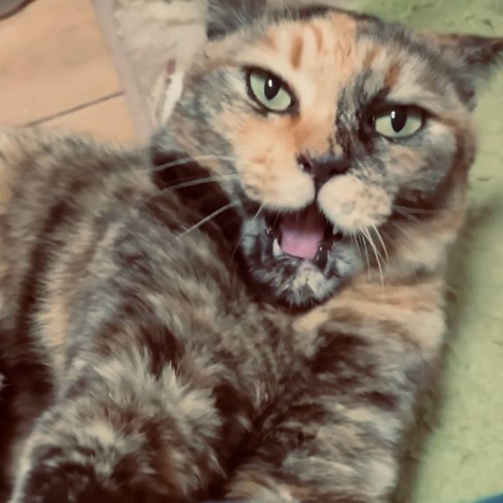 E453fbce 6265 4ac1 97e2 cd63caf09341 1770410819520