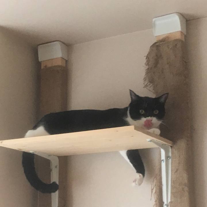 E4541667 ce63 47c0 9d79 486a5a79e47c 1569136769145