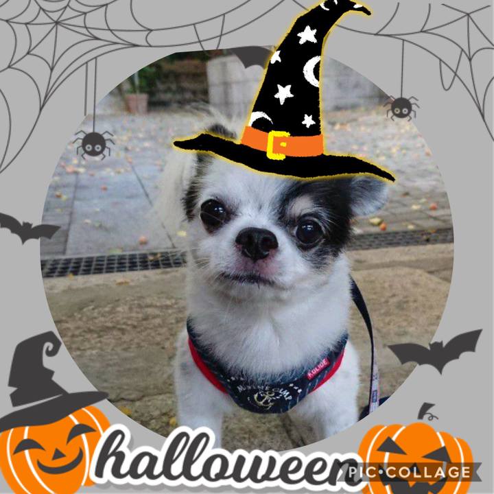 E4545ffb 5f69 40dc ab46 afdeb8af3cff 1571802657307