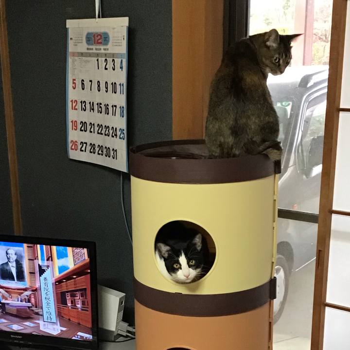 E4547b92 6409 40c0 87e4 7708d1b60bf1 1638325711650