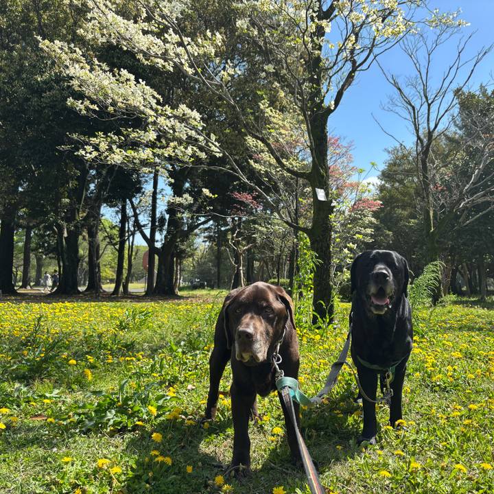 E45480ba 5887 4a70 895a 2c4820c26530 1775994110366