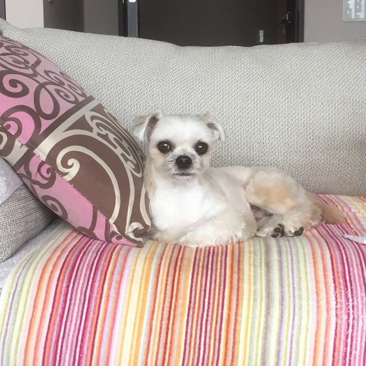 E454a6d7 c9f2 4cc6 9765 0733b6db1890 1556106355083