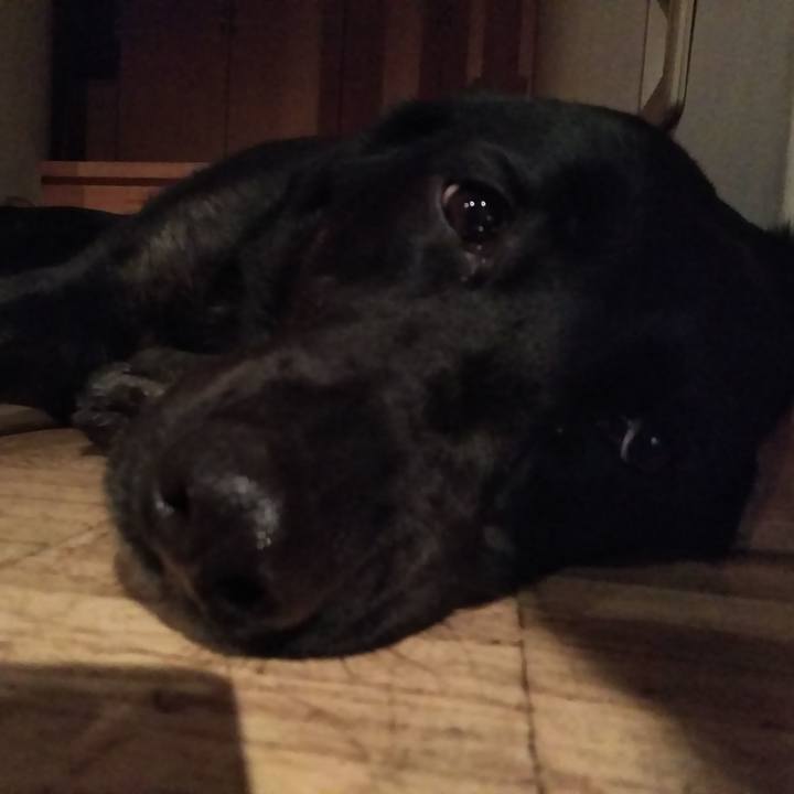 E454ca91 1f94 44a2 87de 9eaa316c60a3 1558265311917