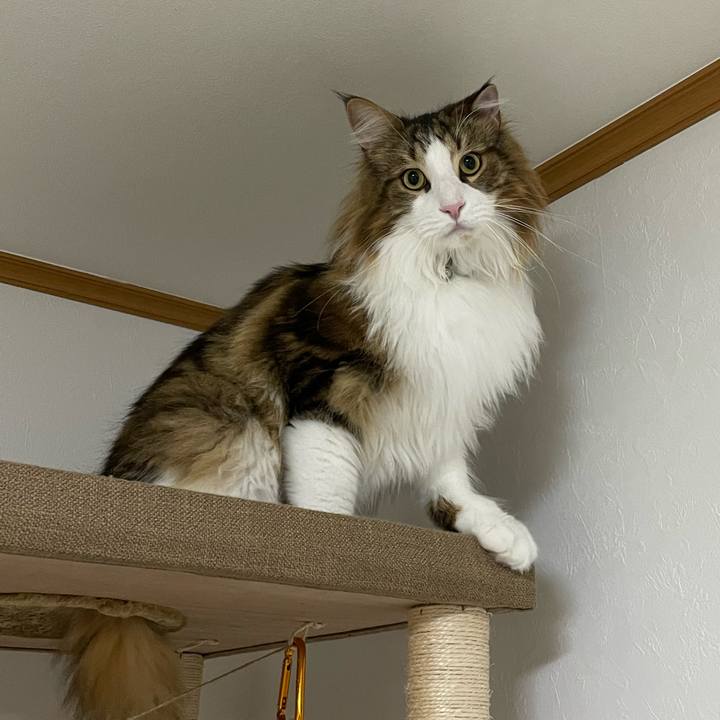 E454d8cc 055d 43a9 8d90 1f4b099d32d3 1671738008006