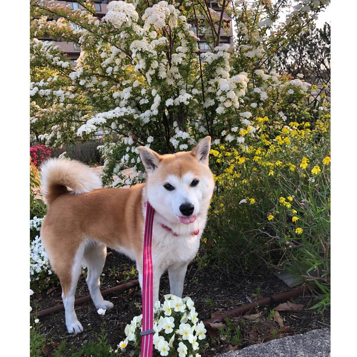 E45503d6 0240 46d1 94f3 497a4c4548ca 1650332320746