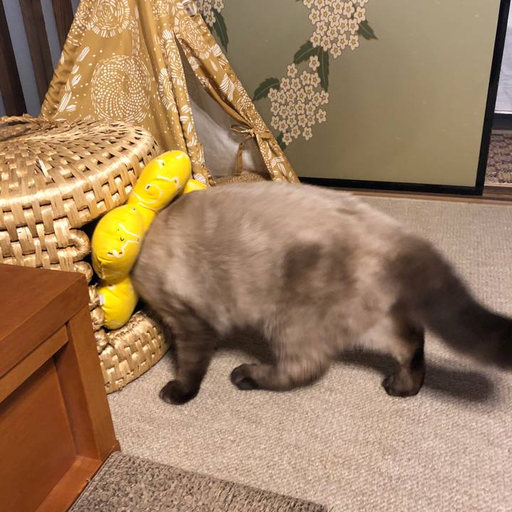 E4553350 52b0 4e3d 8bb4 9f99a86134aa 1598945797069