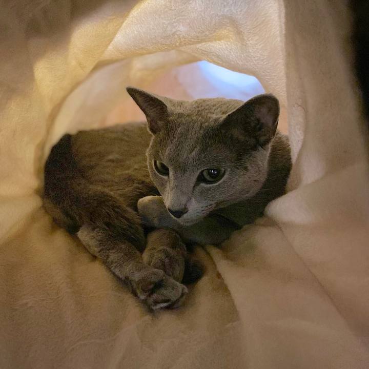 E45547da e5a5 4cf9 9159 2556ee5a738e 1634612954790