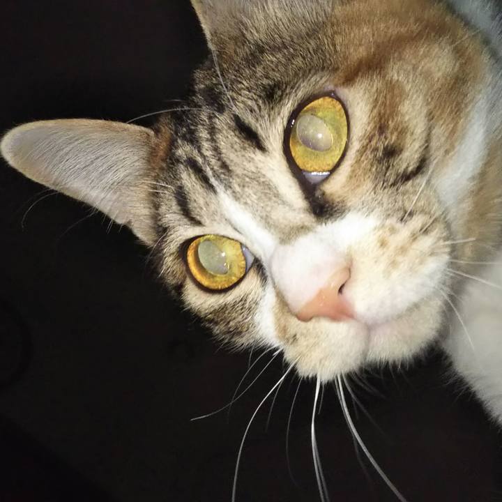 E4554d24 668e 48b7 aa2a dd86d97b3d16 1677691803266