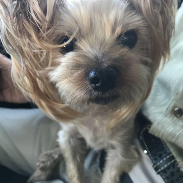 E4554d33 6ea8 4b31 8fcb 3ccc97bf622c 1630922589890