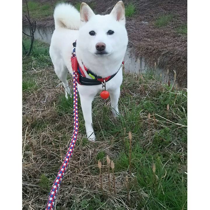 E455721d 0485 4abc 824a 0218068ef5e3 1584262189192