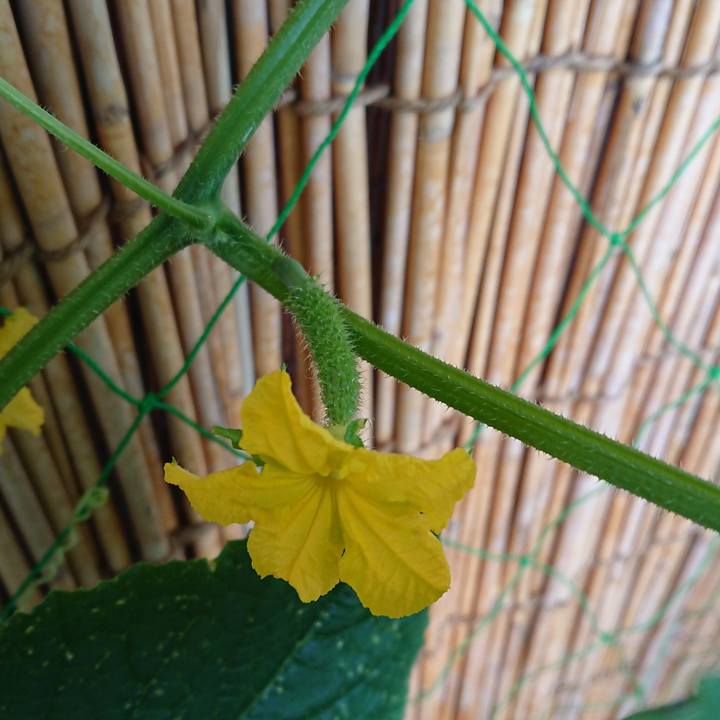 E4558442 dbcc 4ce6 8406 0880303a55a8 1562978567482