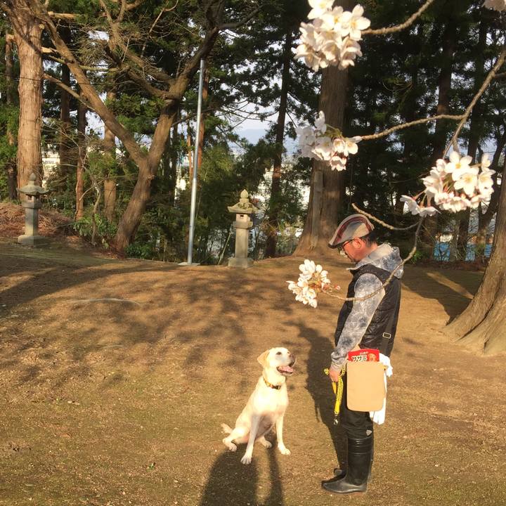 E4559203 18f4 4ae1 abd7 cf060e7ff656 1585914109040