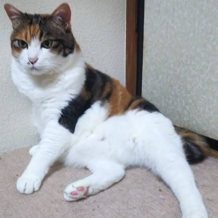 E4559635 895f 4c99 bedc 1acbfb1b3c7d 1567173020202