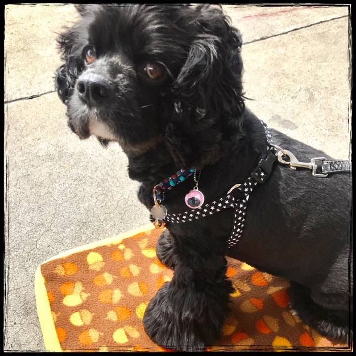 E45598aa 5788 447b a79e 31e4143b1972 1527656634146