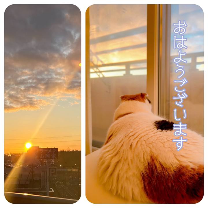 E455bdc9 3121 44fb ab63 cb1070bac609 1701641271355