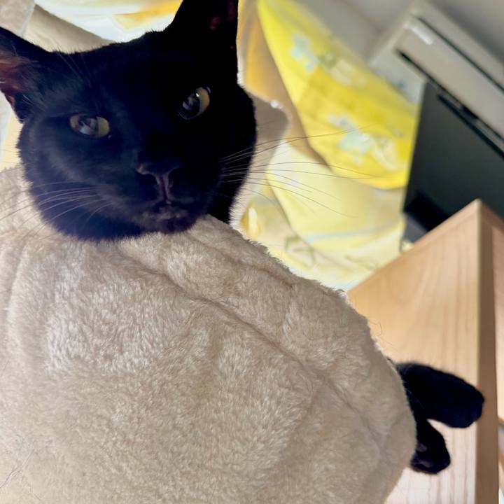 E455d0c4 c0a9 4edd 9fee d3d84608e114 1751075061364