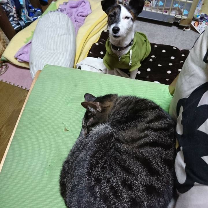 E455e395 7277 4b67 8d1a 14e892dea291 1511219887809