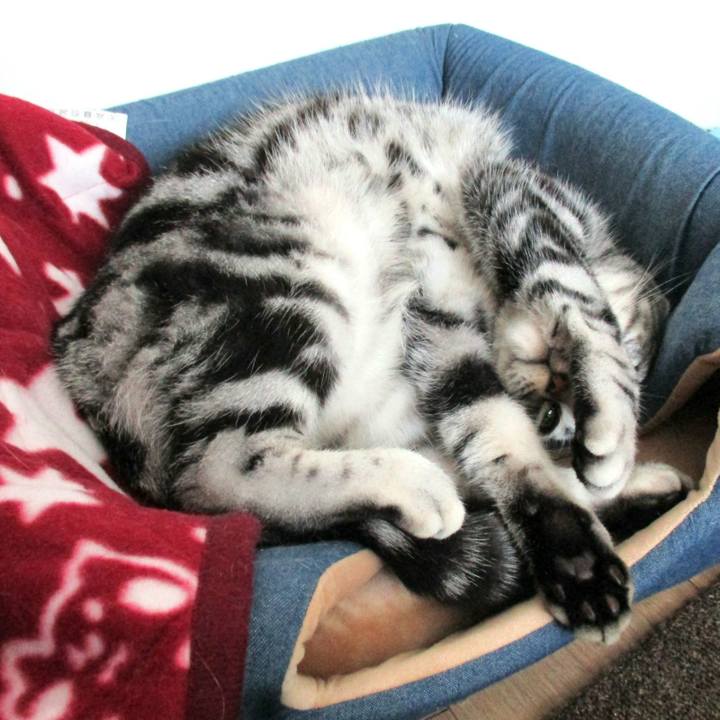 E455e922 342b 4874 97a9 d0ee84118395 1575172378466