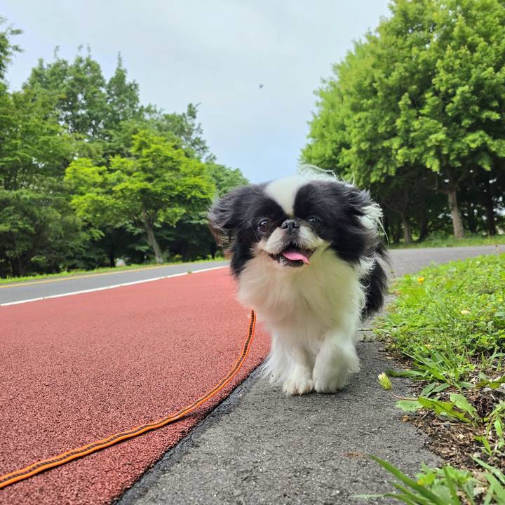 E455fc77 9718 461f b2f4 fcbe772efad1 1747638371281