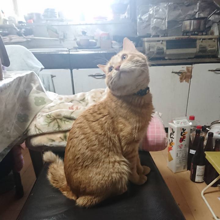 E4562033 1383 4644 bacc bedb45caf773 1646693784931