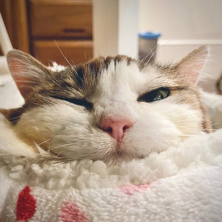 E4563fd2 3e47 4953 8c90 701ceac72dc2 1734791725397