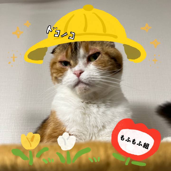 E45647c1 3a37 412a 97d5 712d4d6bdea4 1712392478547