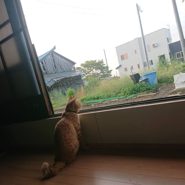 E4564e1b ad0b 4554 b45d 8b970cd9dfe3 1663279008515