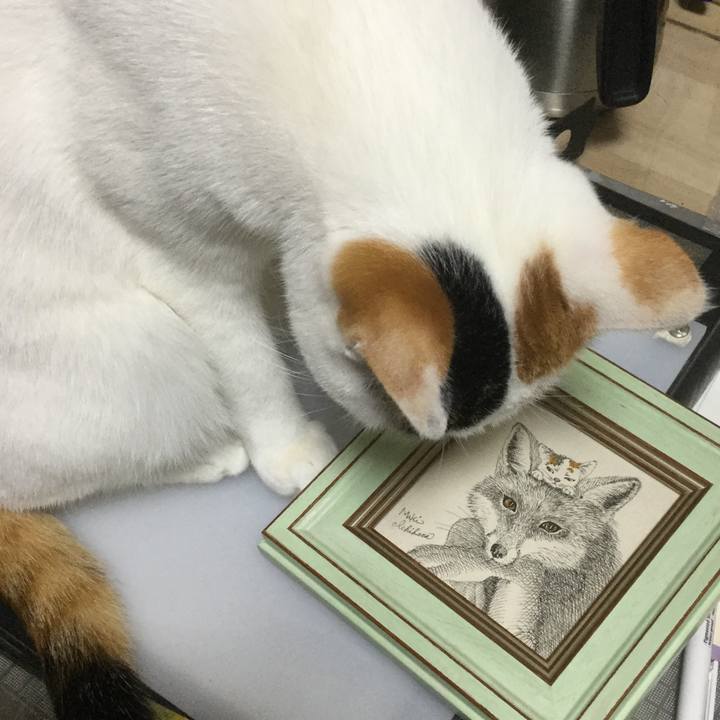 E4565272 4e66 4f8a a343 072b8000b034 1571220195805