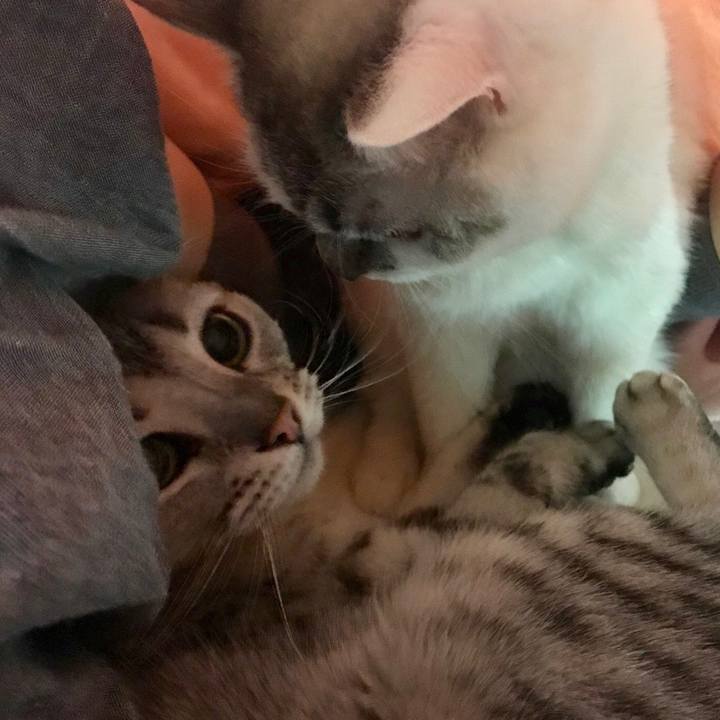 E45670e3 5a4b 4498 a965 023b0991c653 1551134174917