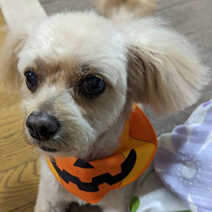 E4568452 7345 45d7 8831 5ddee308c786 1695463621410