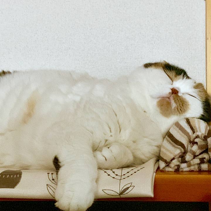 E456868b 5c3b 4913 8124 88a5c7d1b7ae 1562565152743