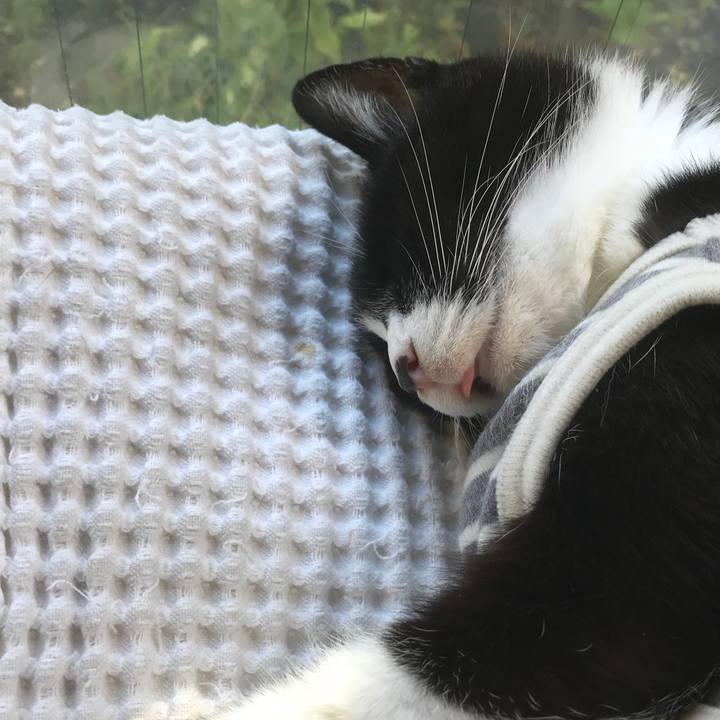 E45686ec 51ef 42c2 b15a 5c93c3ccb307 1538530673018