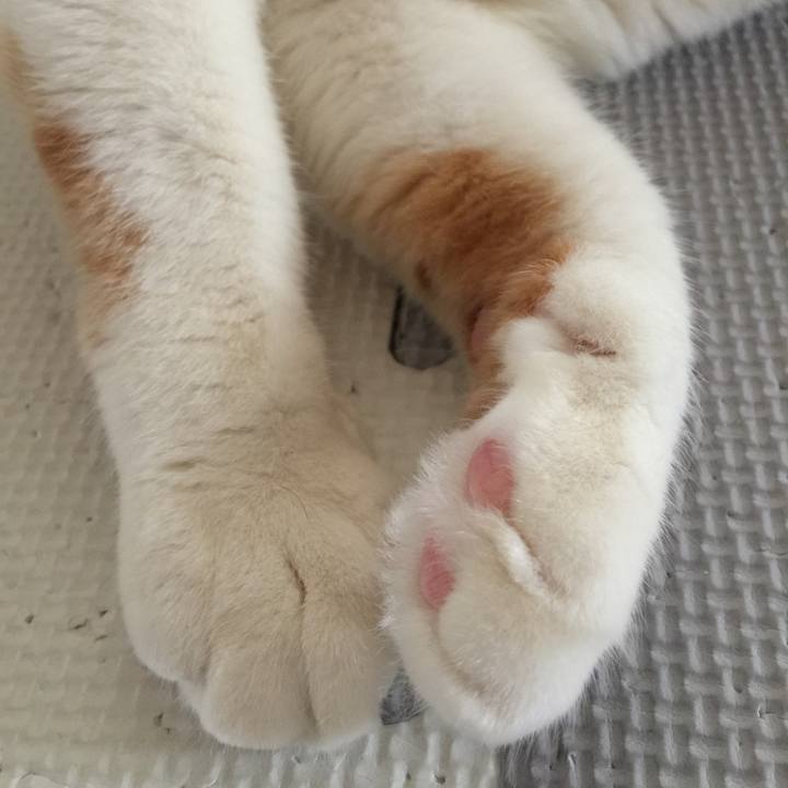 E456d5fe 6d9f 4ad0 aea9 b664cf7b0288 1697366954713