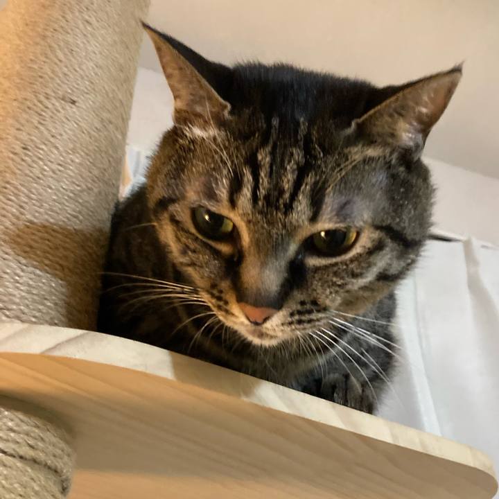 E456e554 35d7 48d7 8324 2a7b2209b8fa 1617361400992