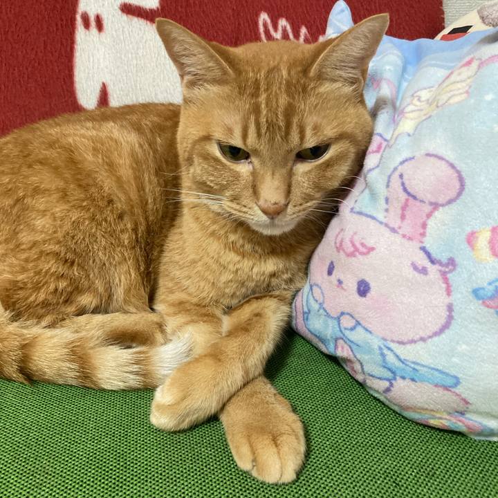 E456fea4 9019 4fdb a4d8 3ec57d736723 1760262384446