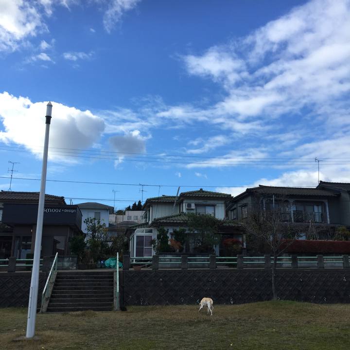 E4574201 93e7 4b00 a31e 99835deb712d 1542188583624