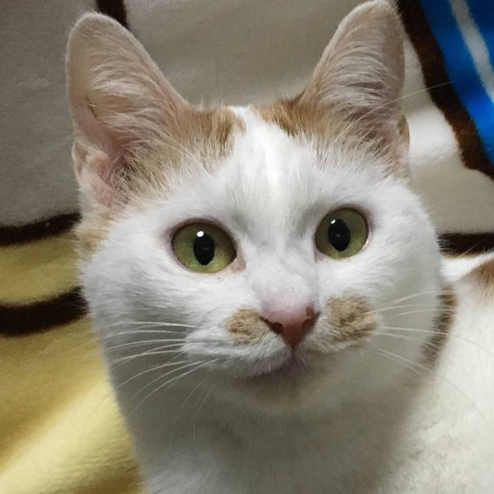 E4578dac 80fc 4d23 a42f 220b8f08551a 1545906620257