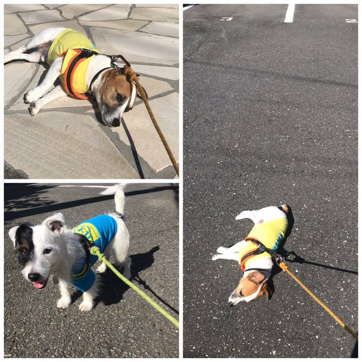 E45790eb 9207 46eb 9ad2 6a9179c379c9 1538442007019