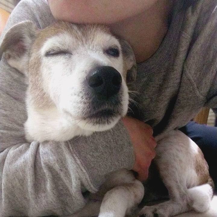 E457d790 697c 4c7b 94f9 87d4d22c8dbb 1586871339504