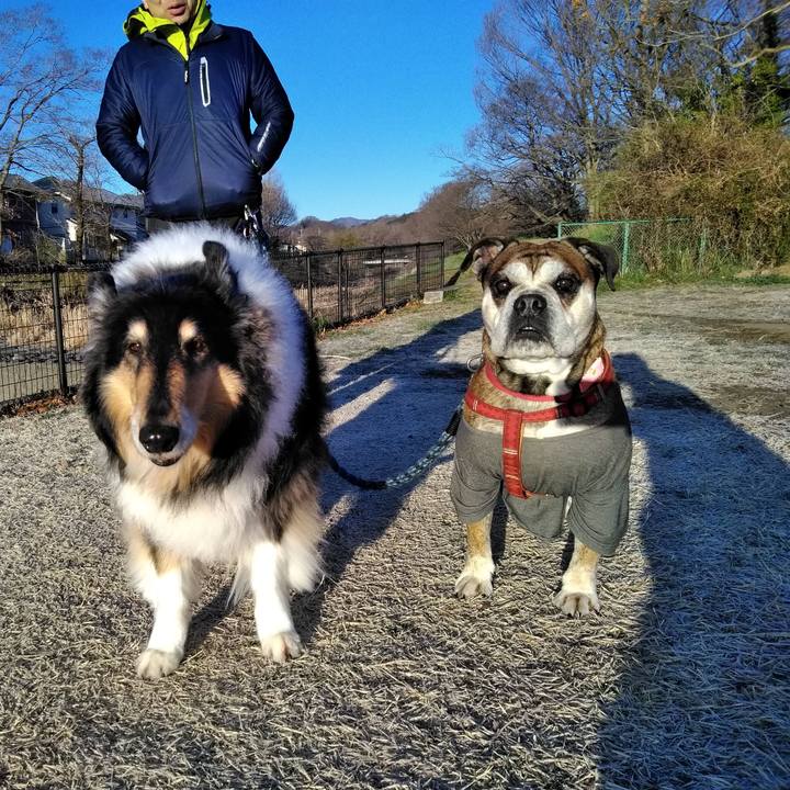 E45824cf beca 4685 9536 857e383fbcf8 1552917371615