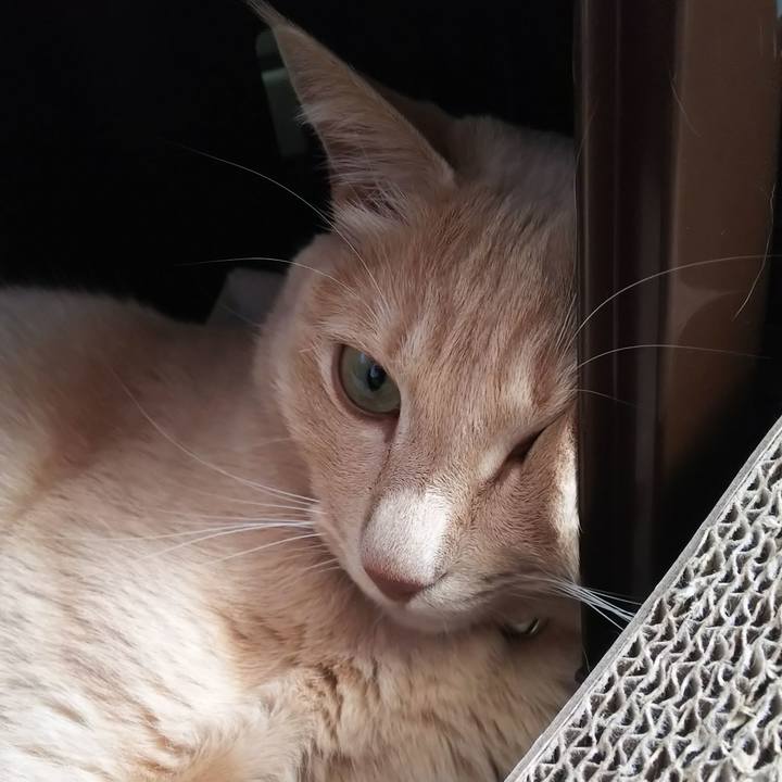 E458424d 0181 4c0b abef 09ed45aa3d41 1629525914333