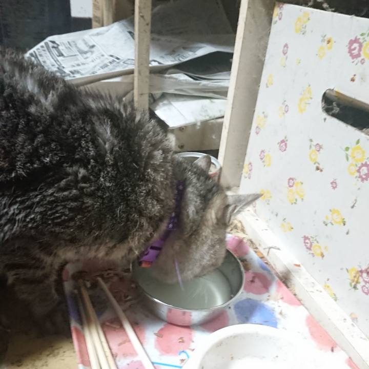 E4584eb9 c4ad 4760 bbe0 822bcaaa6c09 1584608185303