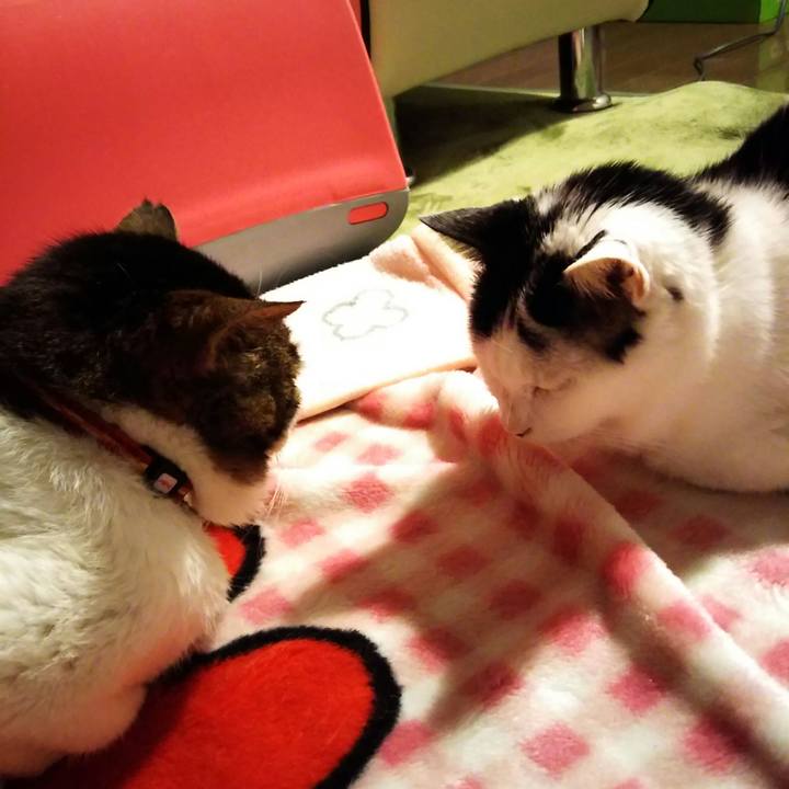 E4586759 8d84 4c03 82b4 e006a7dad7f9 1575020269545